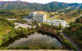 Wellihilli Park Resort